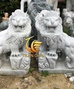 Sư Tử Đá Trước Cửa