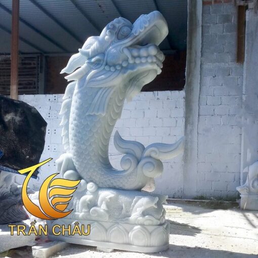 tuong ca chep hoa rong da nang gia tot 502f72c653ad491aa00bccb6ed63371e