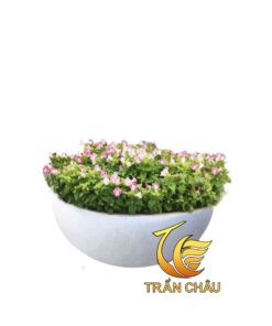 Chậu Hoa GIấy Bằng Đá