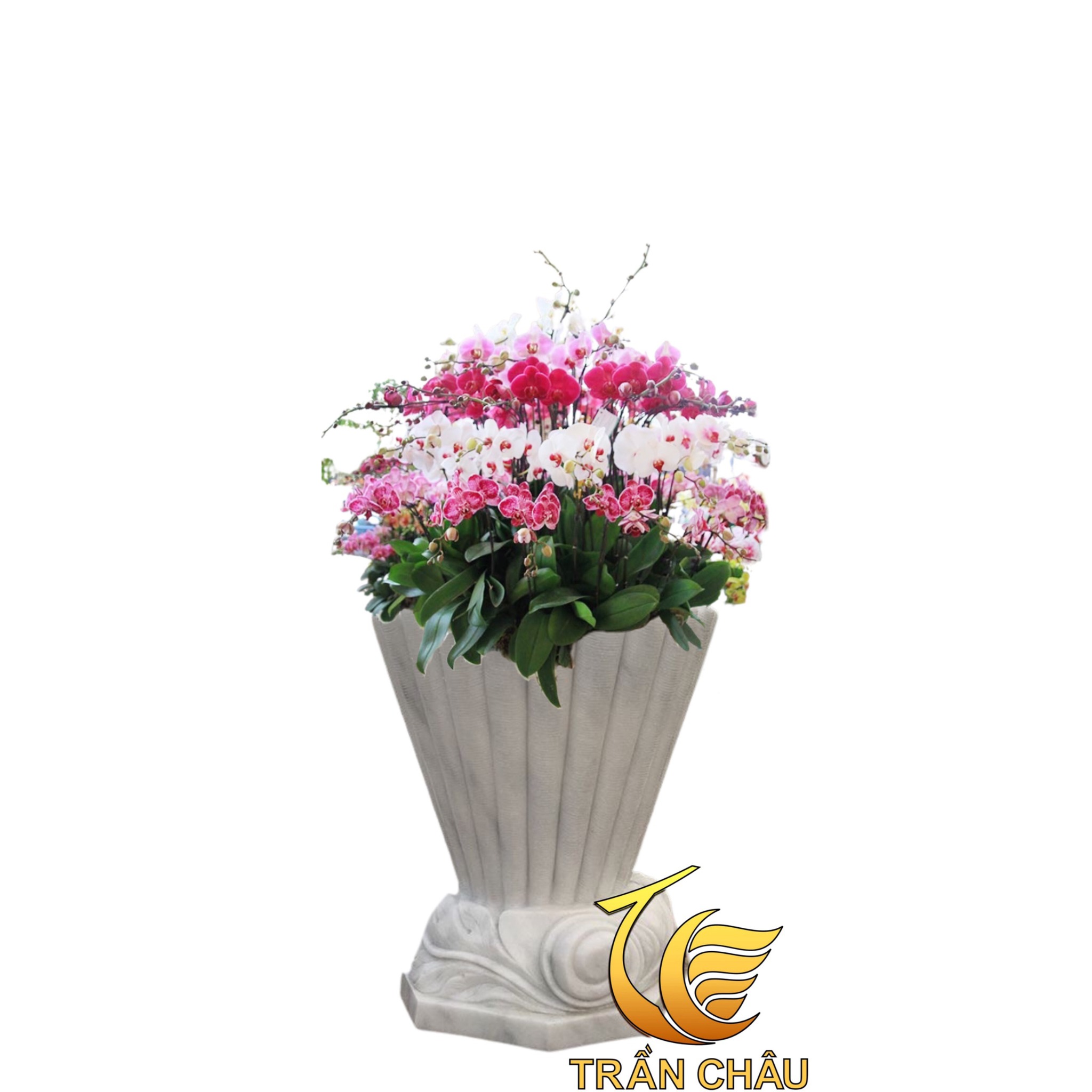 z2500545929480_3d04f51869b881b9a7317f41642e23d2_ac93d458ddca4a5680ebb25f662f6779.jpg z2500545929480 3d04f51869b881b9a7317f41642e23d2 ac93d458ddca4a5680ebb25f662f6779