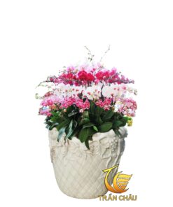 Chậu Cảnh Đá Nguyên Khối Điêu Khắc