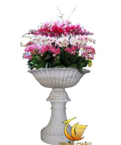 Mẫu Chậu Hoa Bằng Đá Đẹp