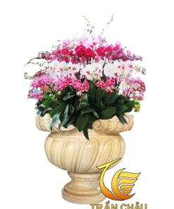 Mẫu Chậu Hoa Bằng Đá Nguyên Khối Đẹp