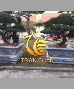 Chậu Hoa Bằng Đá Cho Cây BonSai